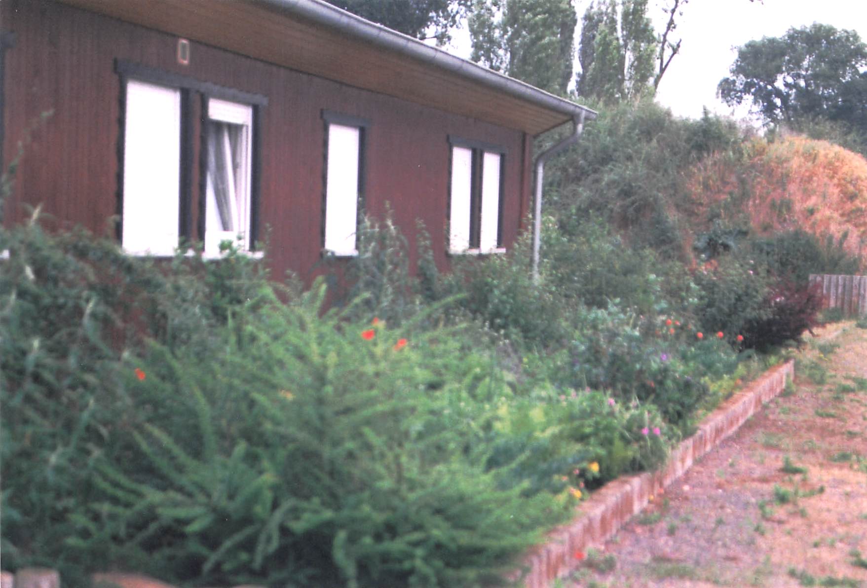 Vereinsbilder 2001