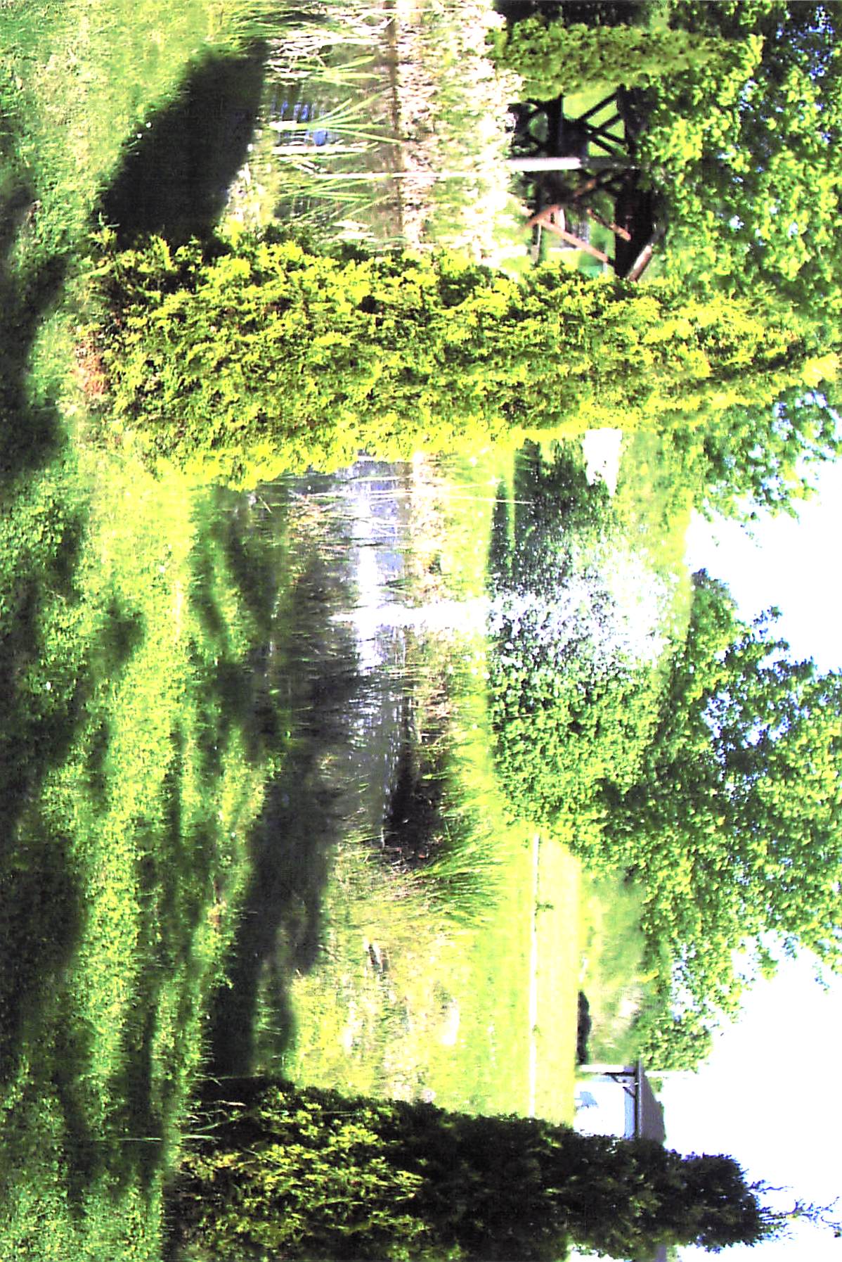 Vereinsbilder 2005